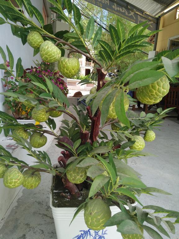 Song Xanh Bungalow Hotel Phú Quốc-sziget Kültér fotó